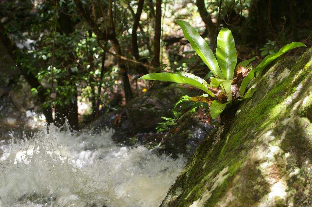 Bellthorpe Stays Maleny Exterior foto