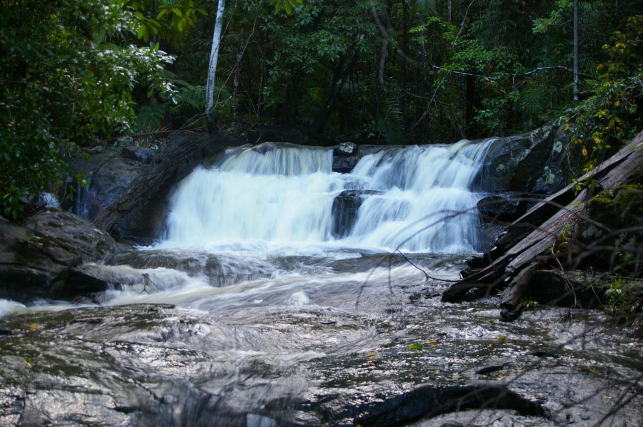 Bellthorpe Stays Maleny Exterior foto
