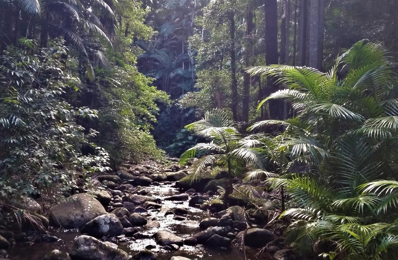 Bellthorpe Stays Maleny Exterior foto