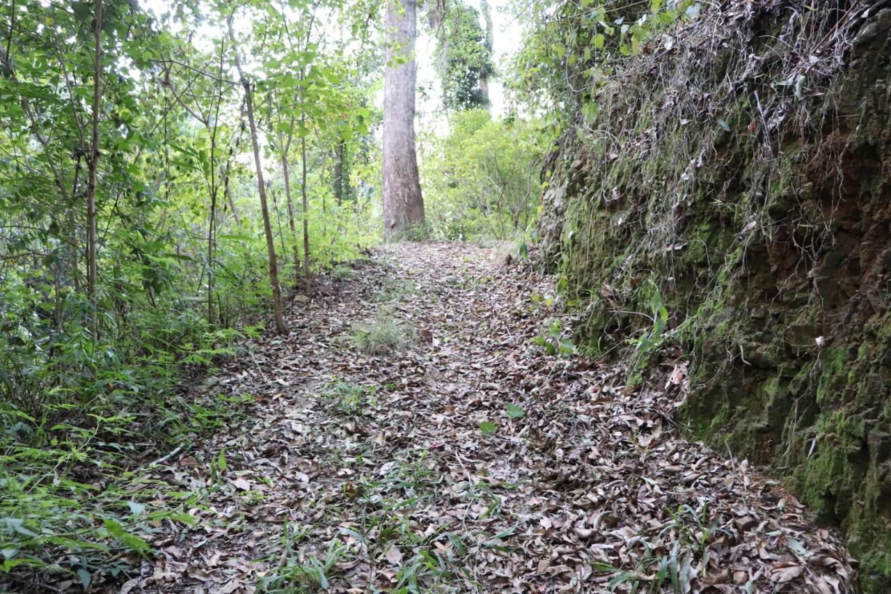 Bellthorpe Stays Maleny Exterior foto