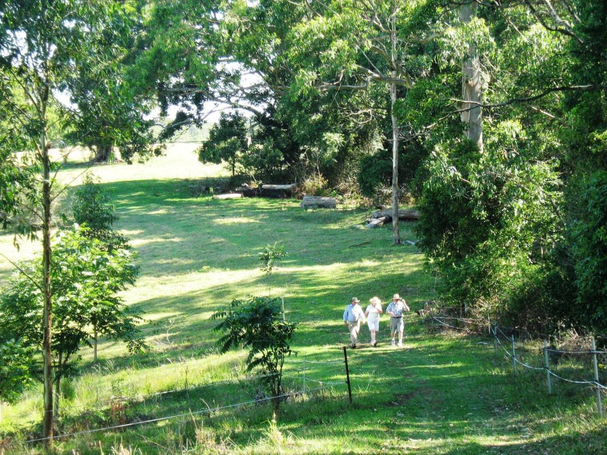 Bellthorpe Stays Maleny Exterior foto