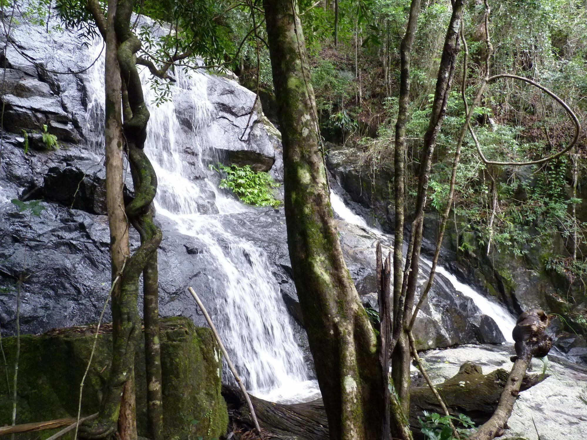 Bellthorpe Stays Maleny Exterior foto