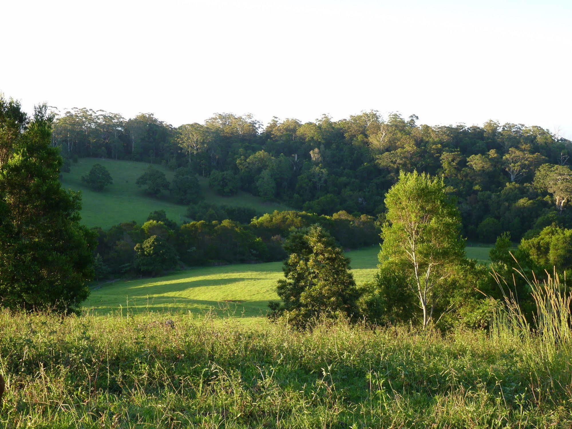 Bellthorpe Stays Maleny Exterior foto