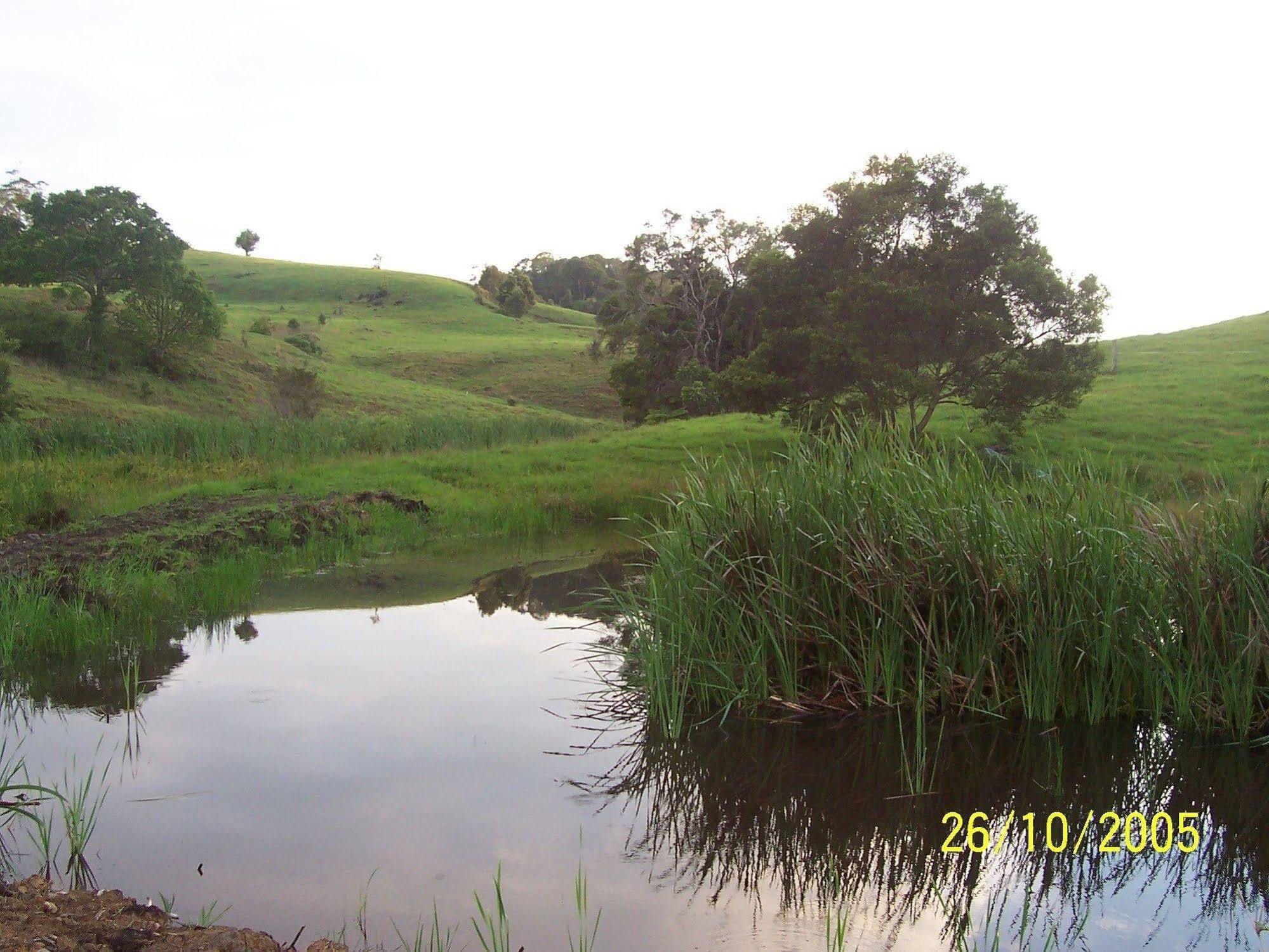 Bellthorpe Stays Maleny Exterior foto