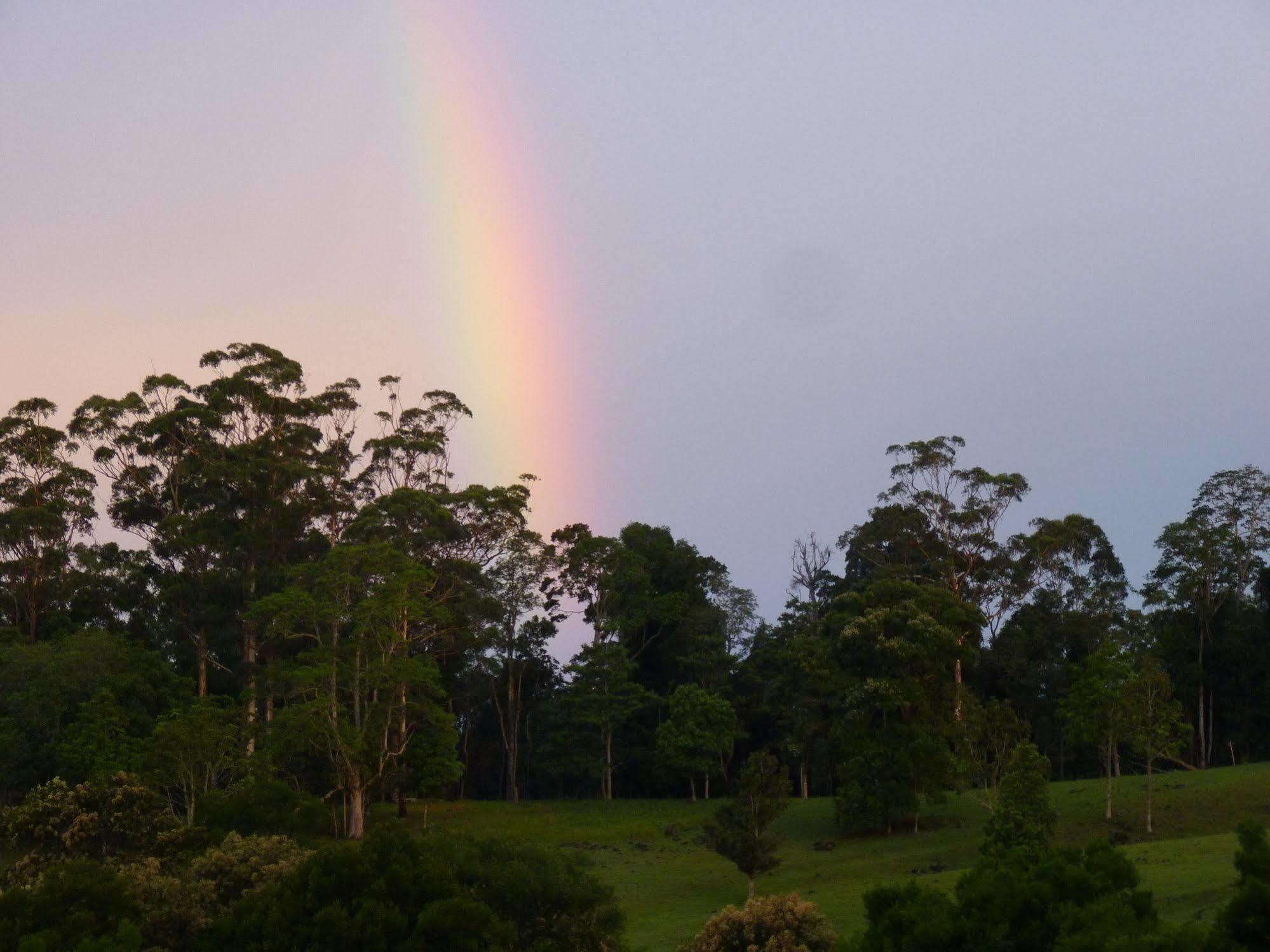 Bellthorpe Stays Maleny Exterior foto