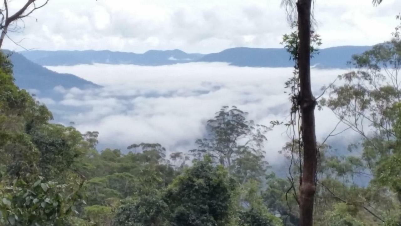 Bellthorpe Stays Maleny Exterior foto
